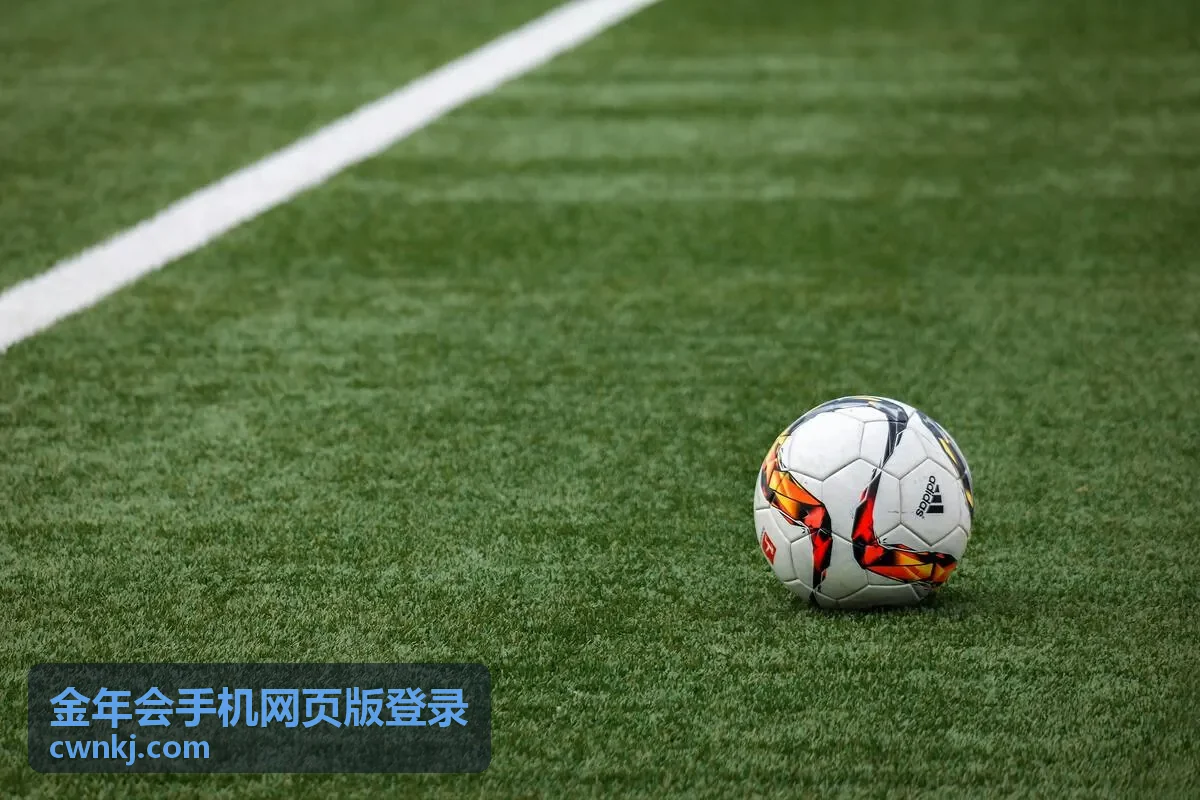 金年会手机网页版登录会员专属年度内容精选